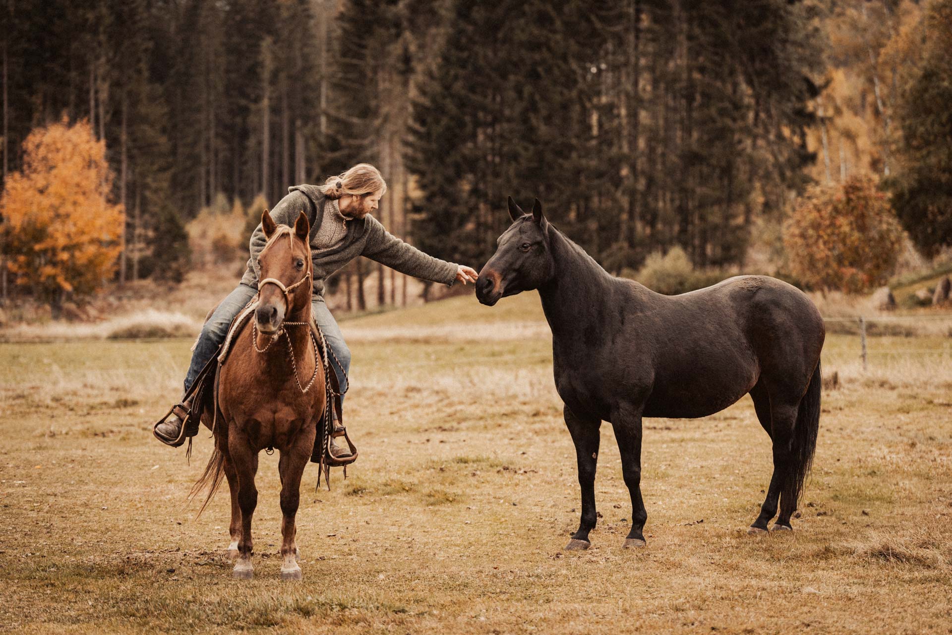 Alex Madl MRanch-07690